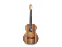 APC 1 KOA KOA OP APC 1 KOA KOA OP